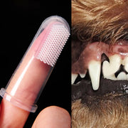 Brosse à dents douce pour animaux de compagnie Hygiène dentaire